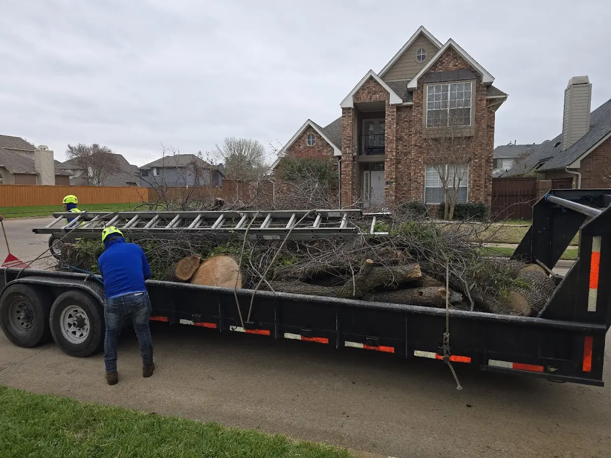 Expert Tree Fertilization with proper safety equipment in Mosherville